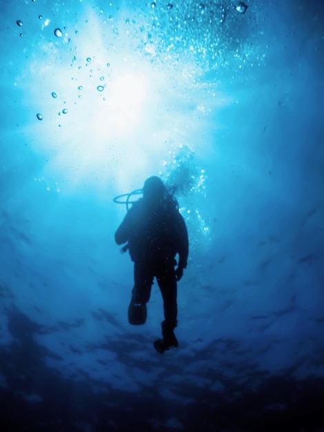 Photo scuba diver silhouettes blue water