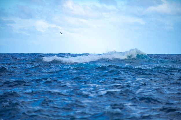 Sea abstract or rippled water texture background calm water surface texture with splashes and waves