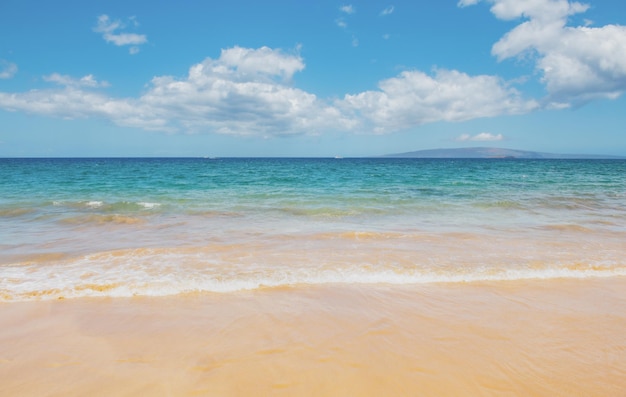 Sea background nature of tropical summer beach with rays of sun light sand beach sea water with copy...