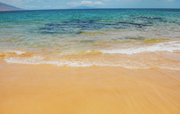 Sea background nature of tropical summer beach with rays of sun light sand beach sea water with copy