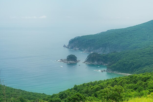 Sea bay with high cliffs covered with green vegetation