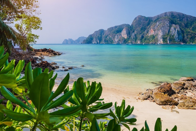 Sea beach atmosphere on Phi Phi Island, Krabi Province, very clear water, beautiful sea, white sandy beach, little tourists Between COVID-19 There are many taxi boats parked. Without tourists,