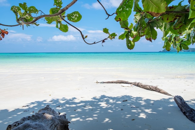 Sea beach colorful white sand smooth silvan