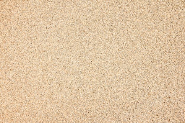 Sea beach sand texture background