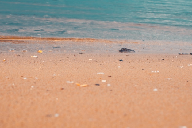 Sea beach in the tropics and the soft wave of the blue ocean summer gloomy day and sandy beach with ...