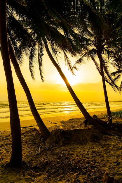 Sea beach with coconut palm tree at sunset time