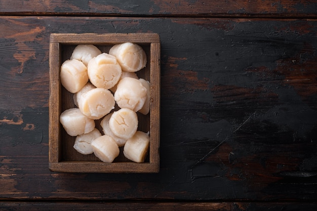 Sea delicacies, raw scallops, top view, on dark wooden table 