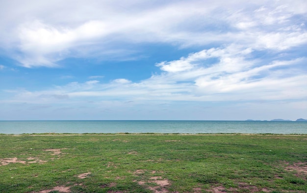 Sea and field of green grass landscape