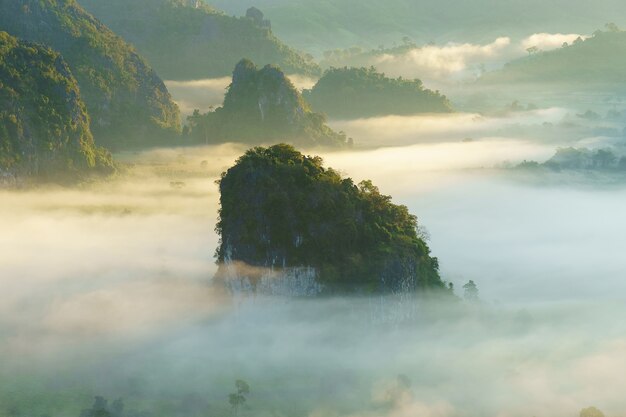 The sea of fog with forests as foreground. This place is in the Phu Lang Kha, Thailand.