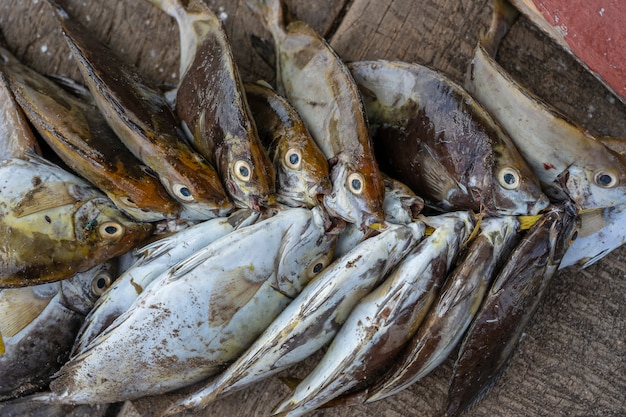 Sea fresh fish at street food market of Zanzibar island, Tanzania, Africa. Seafood concept. Raw fish for cooking, close up