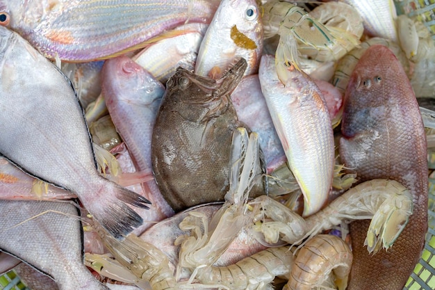 Sea fresh shrimps and fish at street market in Thailand Seafood concept