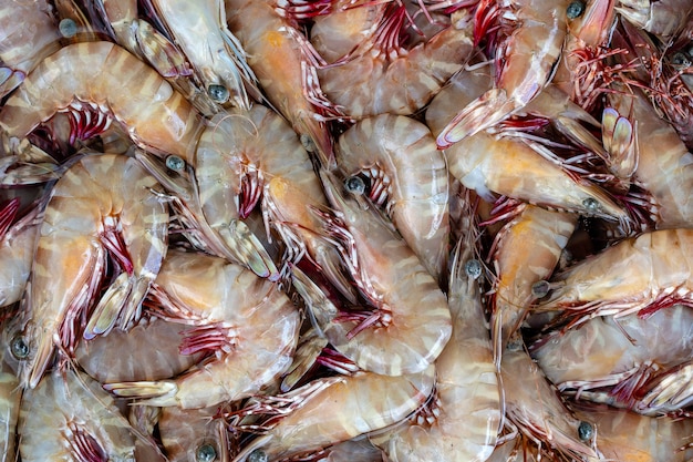 Sea fresh shrimps at street market in Thailand. Seafood concept. Raw prawns for cooking, close up