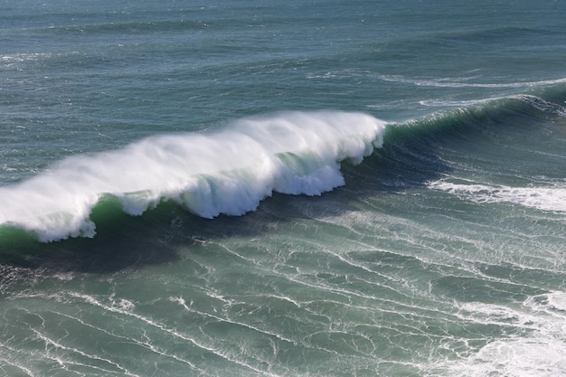 Sea frothy waves near the shore