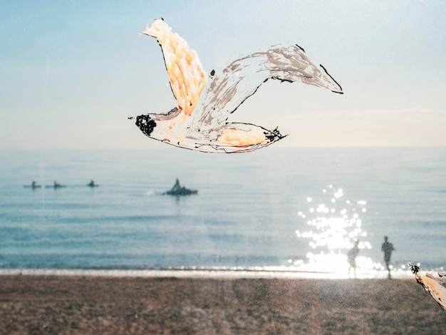 Sea gulls on the sea summer vibes