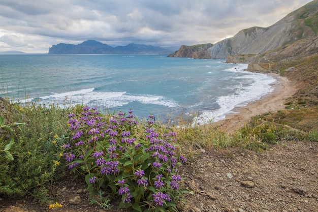 Sea, mountains, violet flowers, sky with clouds