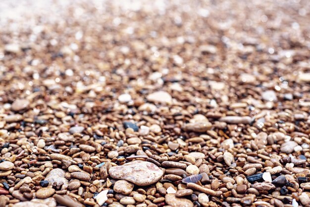 Sea pebble background