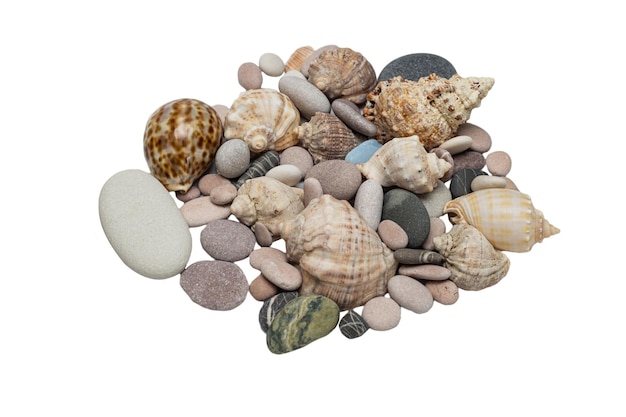 Sea rocks and seashells isolated on a white background.