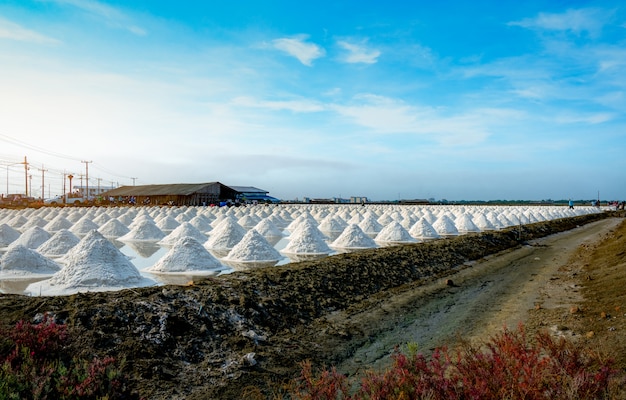 Sea salt farm and barn in Thailand. Organic sea salt. Raw material of salt industrial. Sodium Chloride. Solar evaporation system. Iodine source. Worker working in farm.