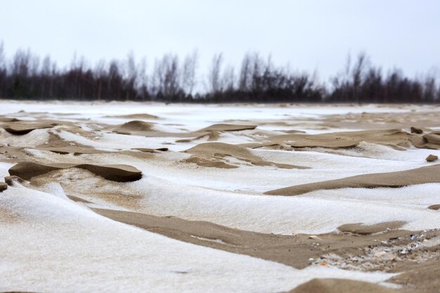 Sea sand with white snow, gray sky and dark green trees