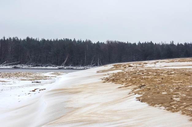 Sea sand with white snow, gray sky and dark green trees