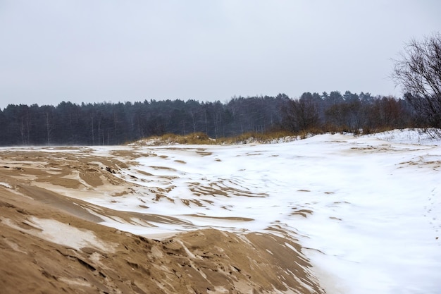 Sea sand with white snow, gray sky and dark green trees