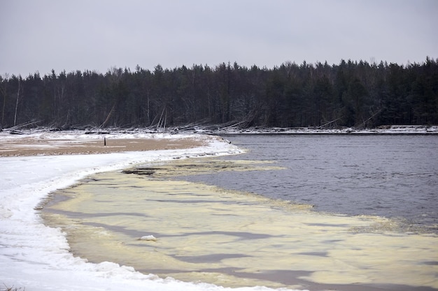 Sea sand with white snow, gray sky, water and dark green trees