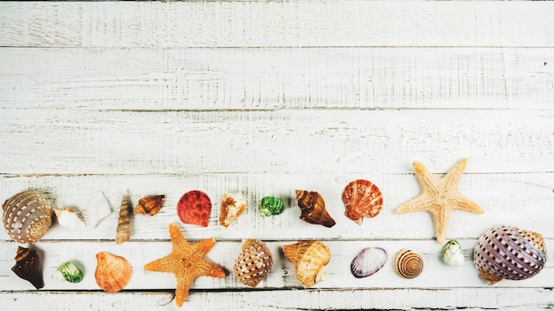 Sea shellfish on white wood background