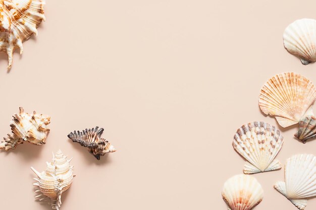 Photo sea shells randomly placed on beige background