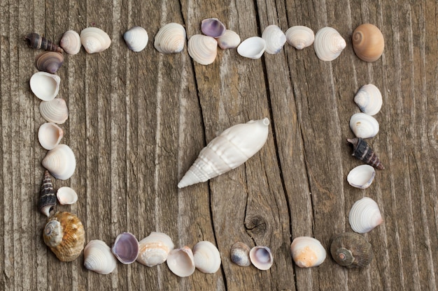 Sea shells on wood