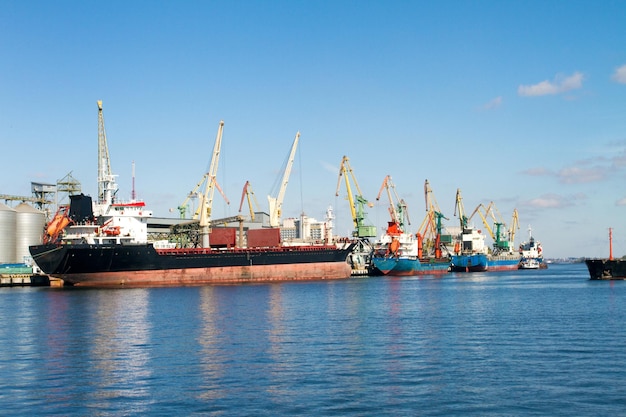 Sea ships loading tower cranes in port