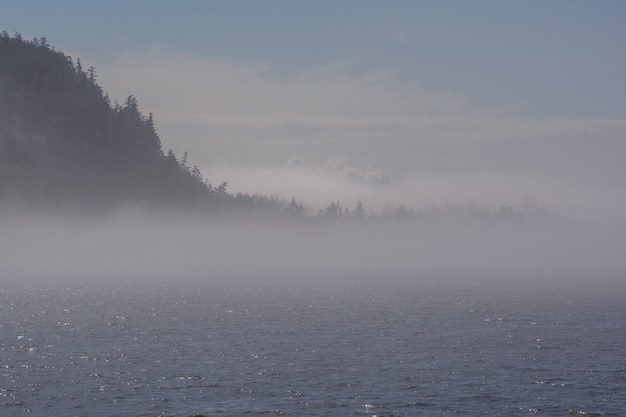 Photo sea smoke on the bay. sea smoke is surface fog that appears over the ocean when it is very cold out.