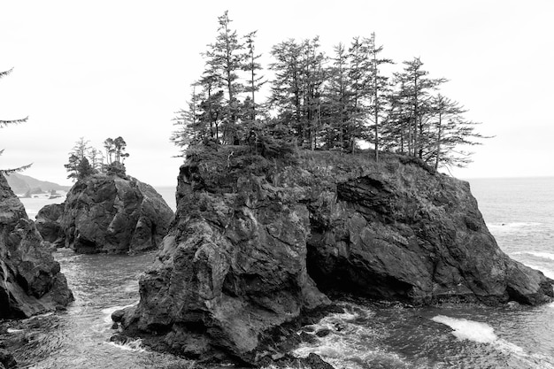 Sea stacks covered with rocky pine at Pacific coast of Oregon USA