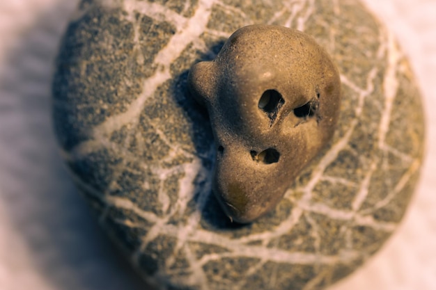 A sea stone similar to a human skull.