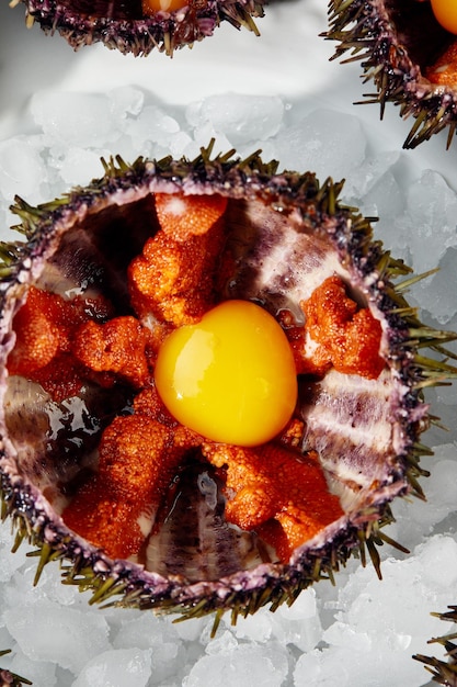 Sea urchins in a ceramic bowl with ice on Sea urchin dish with quail egg and soy sauce