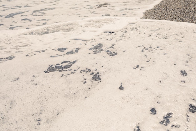 Sea water from a wave with foam on the seashore