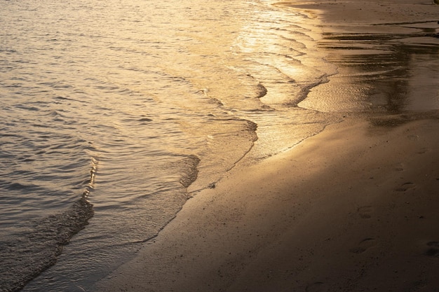 Sea water rolls on the sandy shore in the evening at sunset Golden background of the sea shore Template for text