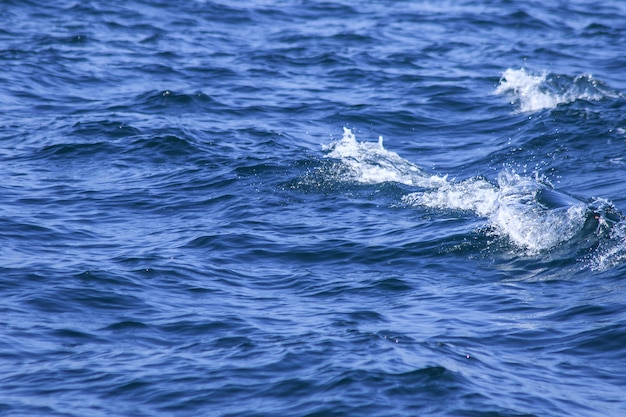 Sea water splashes, splashes of waves, views of the sea,close up the sea water surface