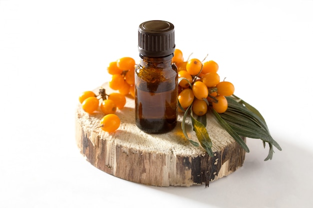 Seabuckthorn berries branch and essential oil