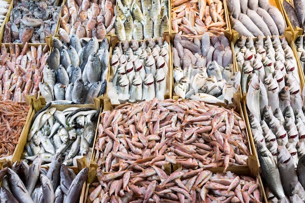 Seafood and raw fish market. Food concept photo.