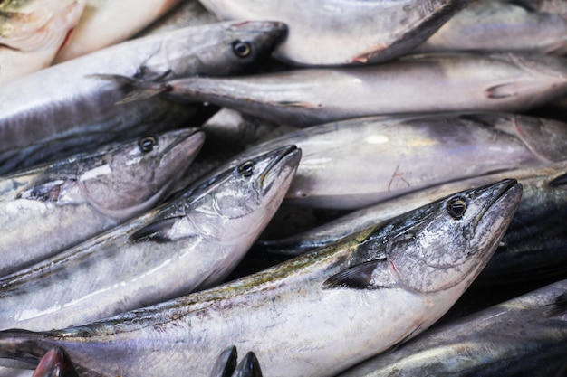 Seafood selling at the fish market in Turkeye