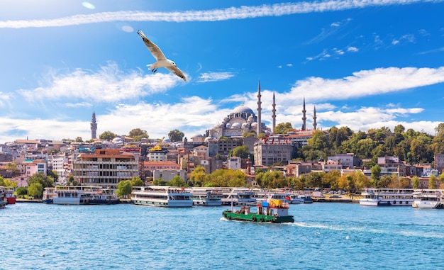 Seagull flies by the Eminonu Pier and Suleymaniye Mosque Istanbul