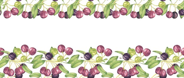 Seamless border of maqui berriy and leaves in purple and green Watercolor illustration of Chilean wineberry cherry plant for printingpackaging food supplements apparel textilecards