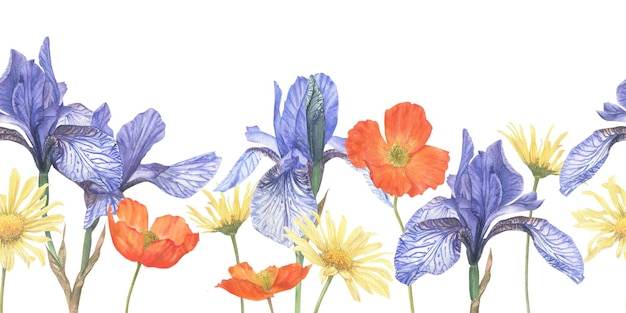 Seamless border of summer flowers hand drawn in watercolor