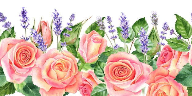 Seamless border with blush roses and lavender Hand drawn watercolor images