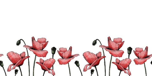 Seamless border with red watercolor poppies in sketch style hand drawn floral frame background