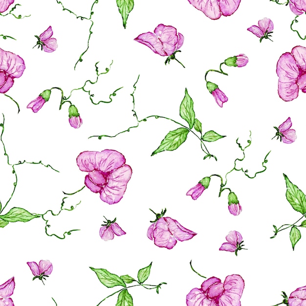 Seamless botanical pattern from field plants watercolor painted in on white