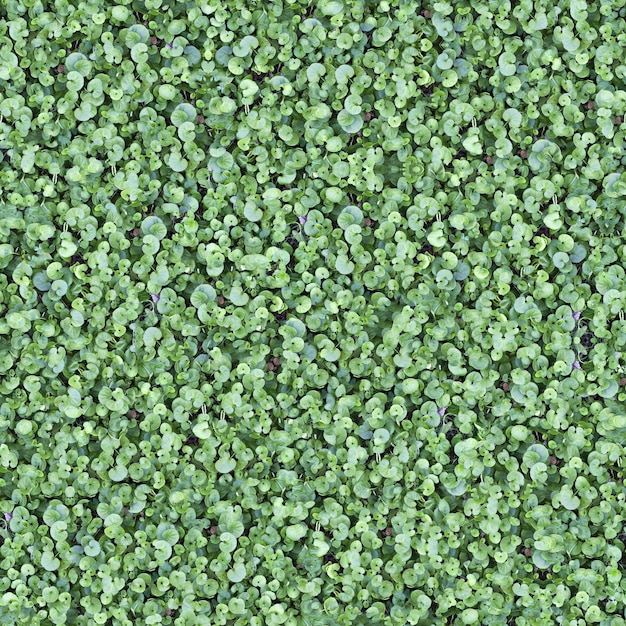 Seamless Green Grass Ground Pattern Background Texture