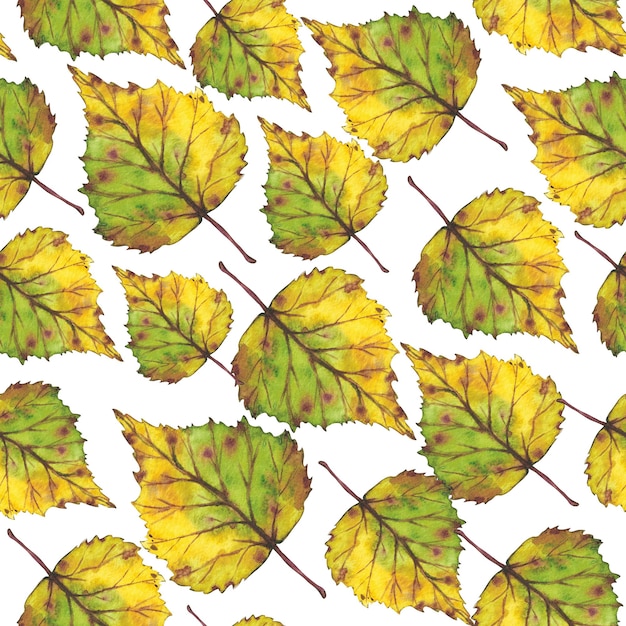 Seamless pattern Branch with yellow autumn leaves Watercolor illustration Clip art botany foliage