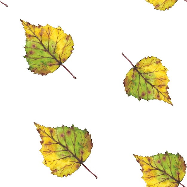 Seamless pattern Branch with yellow autumn leaves Watercolor illustration Clip art botany foliage