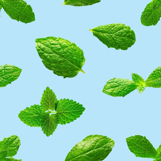 Seamless pattern of fresh mint leaves on blue background